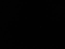 IMG_20240411_223648.jpg