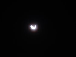 IMG_20240411_223534.jpg