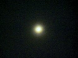 IMG_20240411_223130.jpg
