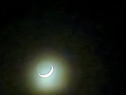 IMG_20240411_223056.jpg