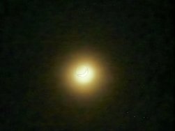 IMG_20240411_223031.jpg