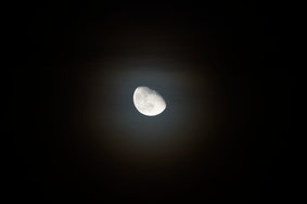 DSC02545.JPG