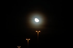DSC02540.JPG