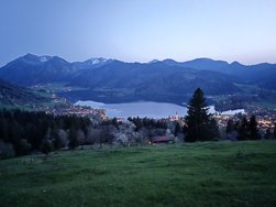 20240411_202718.jpg