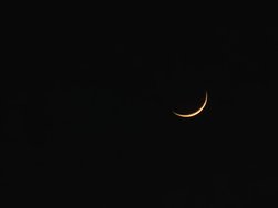 IMG_20240410_203059[1].jpg
