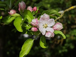 IMG_20240412_155630.jpg