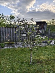 IMG_20240410_191555.jpg