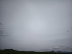 IMG_20240413_131028.jpg