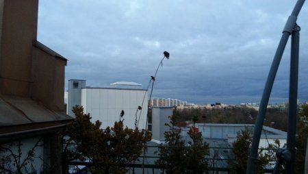 20121217_163308-004.jpg