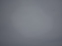 IMG_20240413_131040.jpg