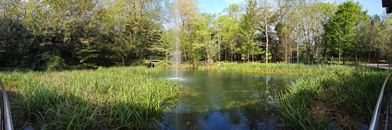 PANO_20240413_143702.jpg
