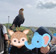 IMG_20240413_175930.jpg