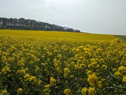 PXL_20240413_101222407.jpg