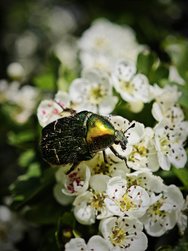 IMG_20240413_204618.jpg