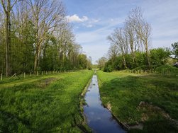 IMG_20240413_175801.jpg