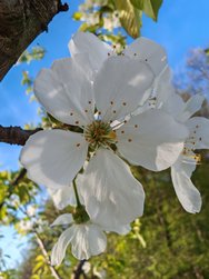 IMG_20240405_182931.jpg