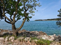 IMG_20240411_111520.jpg