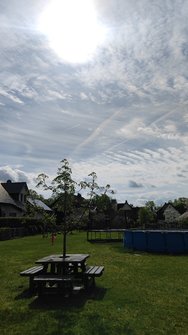 IMG_20240414_115448.jpg