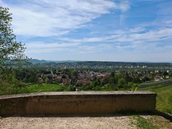 IMG_20240414_145119.jpg