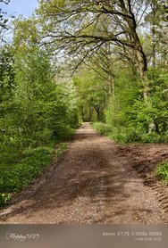 IMG_20240414_162235.jpg