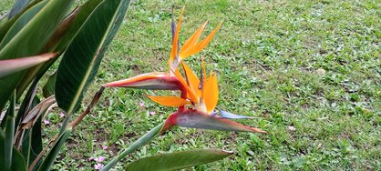 IMG_20240414_143346.jpg