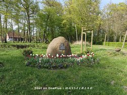 IMG20240414165406.jpg