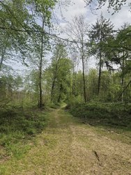 20240414_154807.jpg
