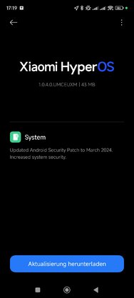 Screenshot_2024-04-16-17-19-14-877_com.android.updater.jpg