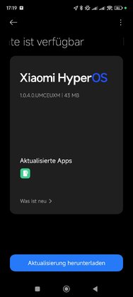 Screenshot_2024-04-16-17-19-11-222_com.android.updater.jpg