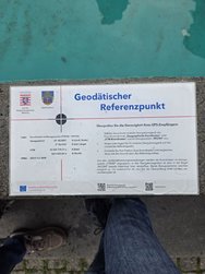 IMG_9119.jpeg