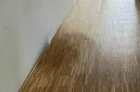20240417_114756.jpg