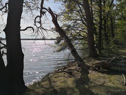 IMG_20240414_160209.jpg