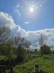20240418_123642.jpg