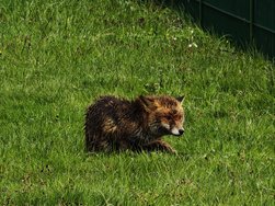 IMG_20240419_133518.jpg