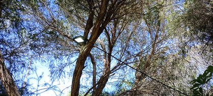 IMG_20240419_115803.jpg