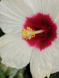 IMG_20240420_153043.jpg
