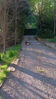 IMG-20240420-WA0010.jpg