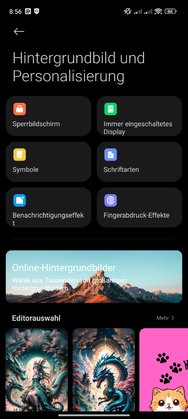 Screenshot_2024-04-21-08-56-56-969_com.android.thememanager.jpg