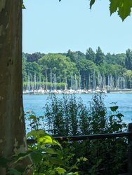 PXL_20230709_105829963_Hafen-10x.jpg