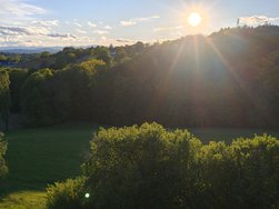 IMG_20240420_191403.jpg