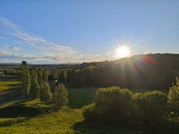 IMG_20240420_191113.jpg