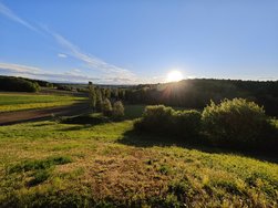 IMG_20240420_191438.jpg