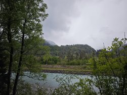 IMG_20240421_130606.jpg
