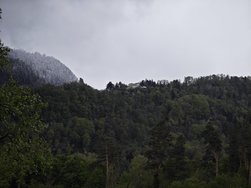 IMG_20240421_130609.jpg