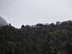 IMG_20240421_130613.jpg