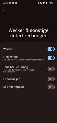 Screenshot_20240421-223646_Einstellungen.png