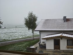 IMG_20240422_080721.jpg