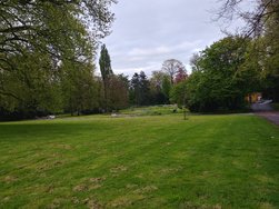 20240422_190016_HDR.jpg