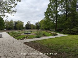 IMG20240422190744.jpg