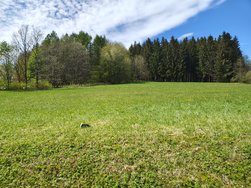 IMG_20240423_131802472_HDR.jpg